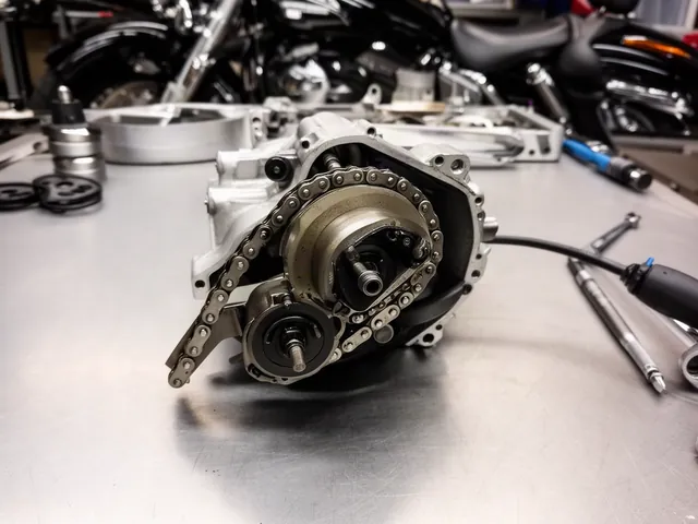 Harley-Davidson Twin Cam cam-chain tensioner shoe shown during a professional workshop inspection