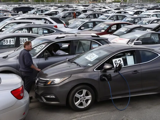 Cars parked in a tow yard with auction lot tags visible through their windshields
