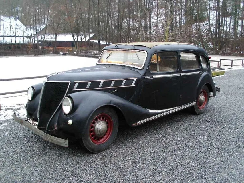 Vivastella 1 generation